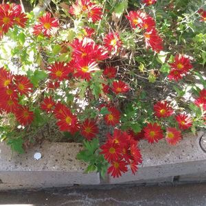 Meet your Posher, Barbara